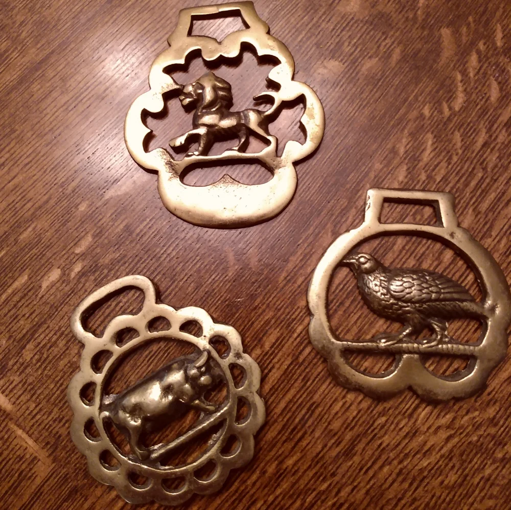 Show Some Brass! Horse Tack Medallion: Lion - Picture 2 of 5